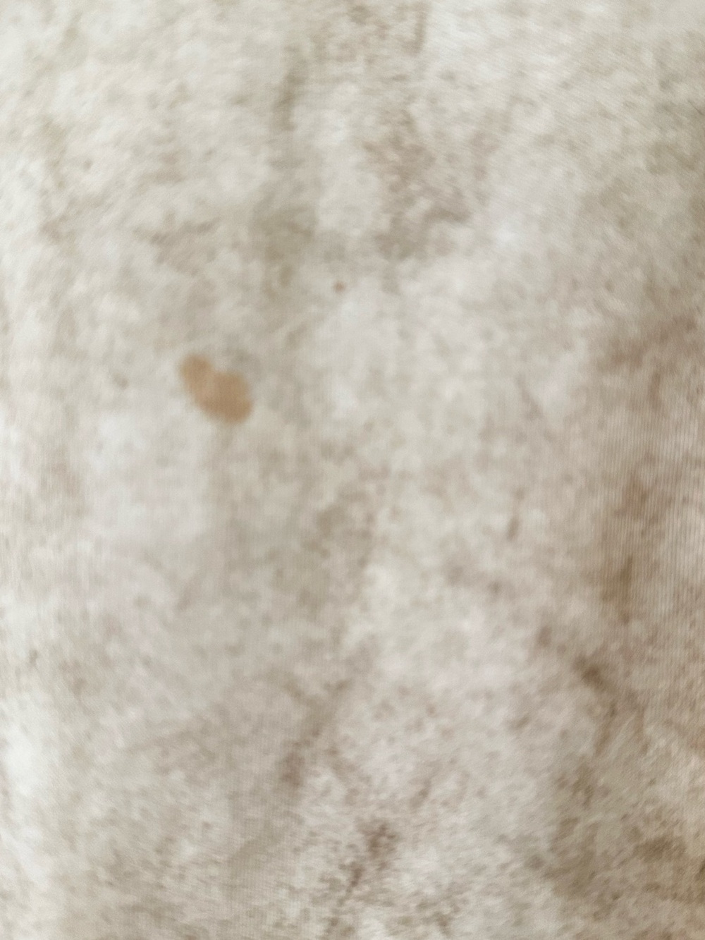 Lauren Manoogian Relaxed Short-Sleeve Crewneck T-Shirt Stains Spackled - Picture 3 of 4